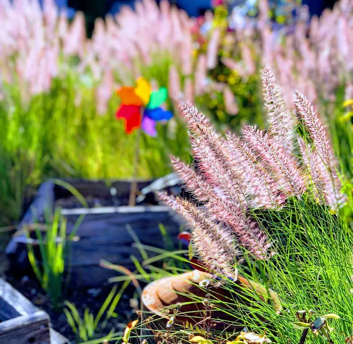 Rancho Cabeza Mobile Estates Picture 2