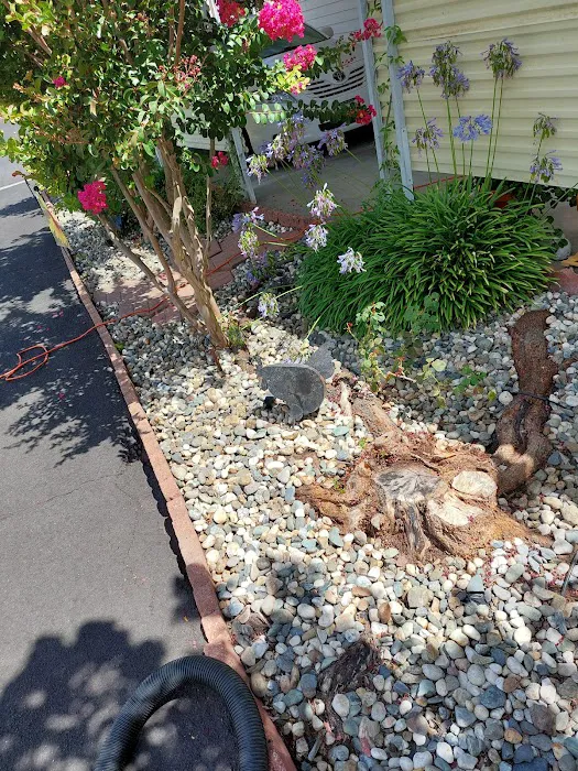 Colonial Park Inc Picture 2