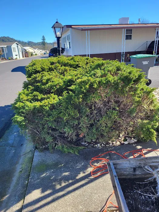 Colonial Park Inc Picture 6