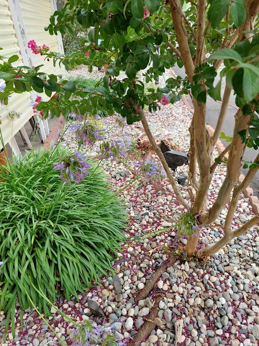 Colonial Park Inc Picture 10