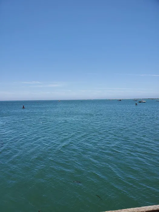 Port San Luis RV Campground Picture 8