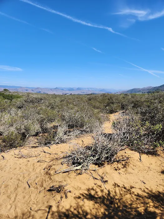 Daisy Hill Mobile Home Park Picture 3