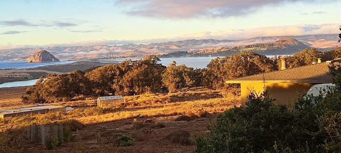 Daisy Hill Mobile Home Park Picture 5