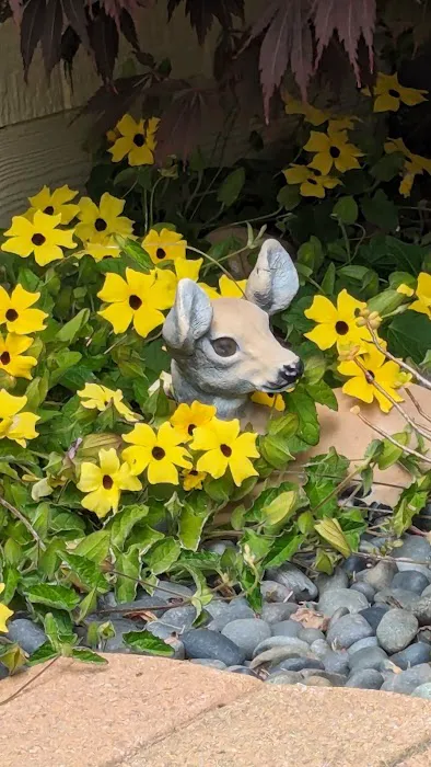 Daisy Hill Mobile Home Park Picture 7