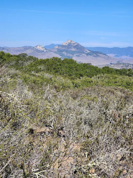 Daisy Hill Mobile Home Park Picture 6