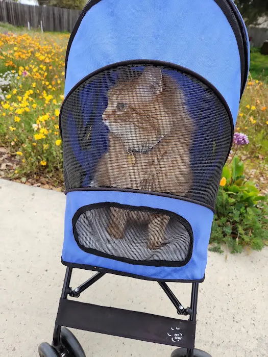 Daisy Hill Mobile Home Park Picture 8