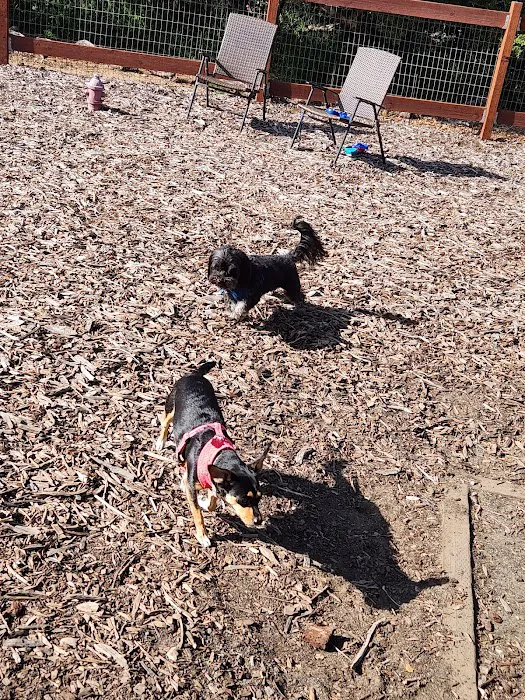 Daisy Hill Mobile Home Park Picture 9