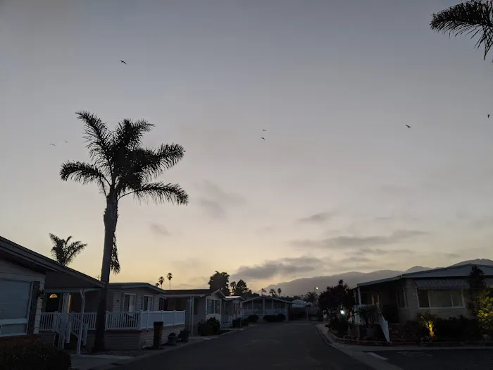 Pismo Beach Mobile Home Park Picture 5