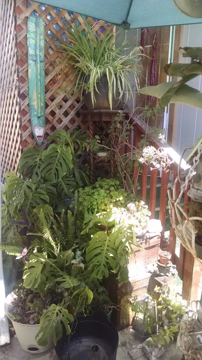 Pacifico Del Amo Mobile Park Picture 10