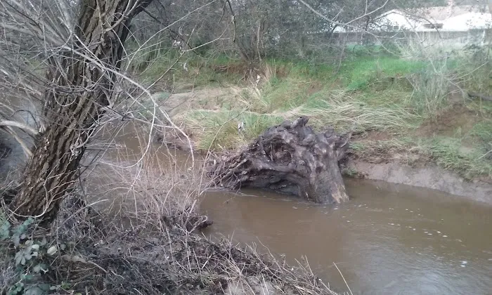 Country Villa Senior Citizen Mobile Home Park Picture 5