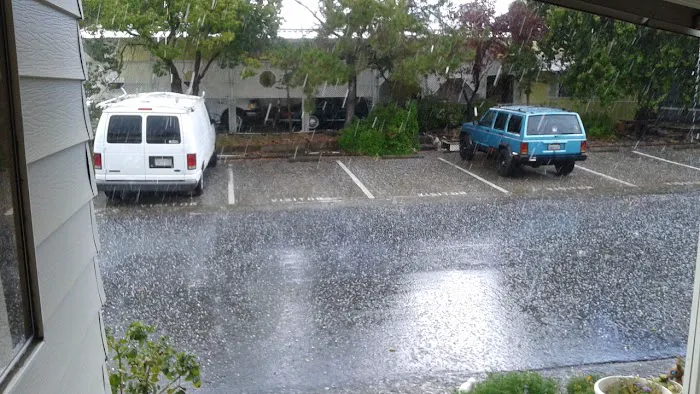 Country Villa Senior Citizen Mobile Home Park Picture 4