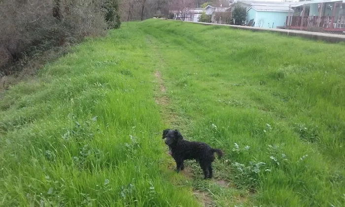 Country Villa Senior Citizen Mobile Home Park Picture 1