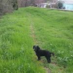 Country Villa Senior Citizen Mobile Home Park