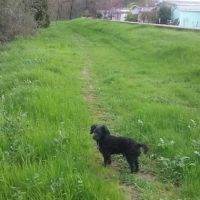 Country Villa Senior Citizen Mobile Home Park ico