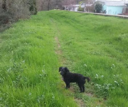 Country Villa Senior Citizen Mobile Home Park