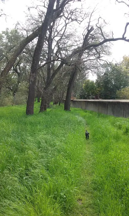 Country Villa Senior Citizen Mobile Home Park Picture 9