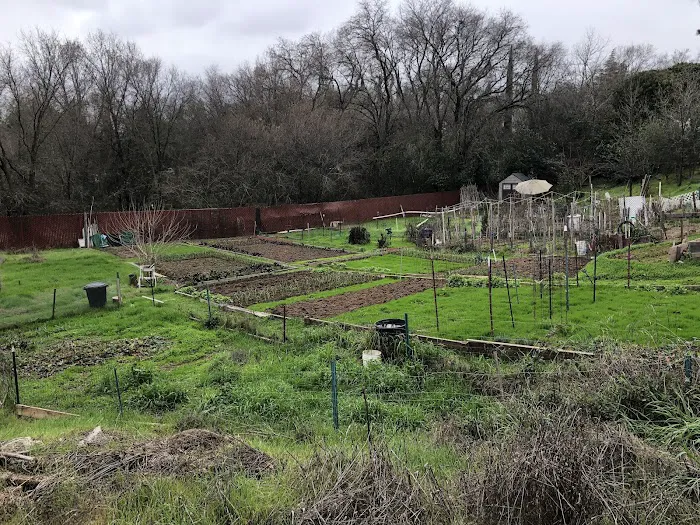 Country Villa Senior Citizen Mobile Home Park Picture 7