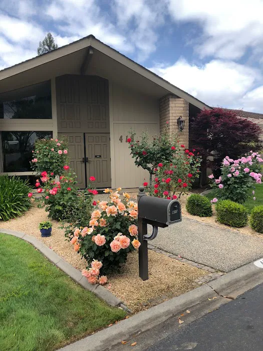 Lakeside Village Mobile Home Park Picture 3