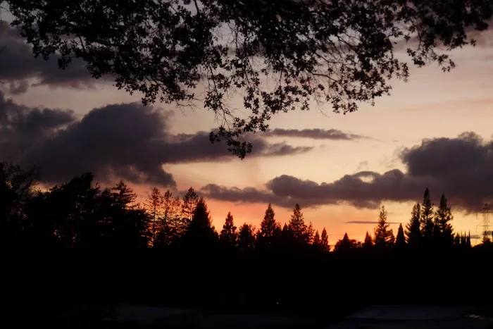 Pinebrook Village Picture 4
