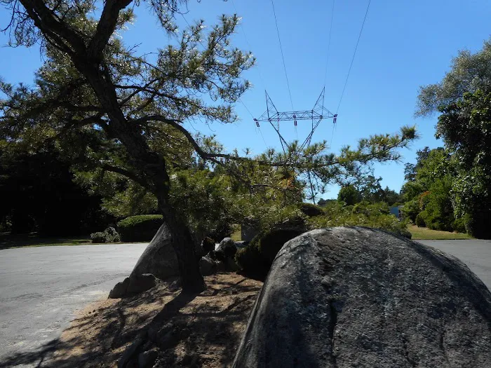 Pinebrook Village Picture 10