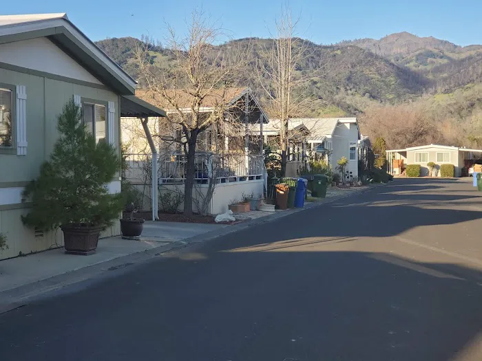 Calistoga Springs Picture 1