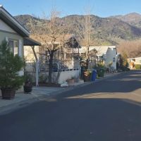 Calistoga Springs ico