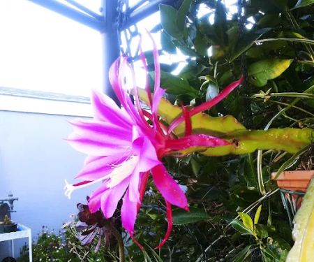 Country Fair Estates