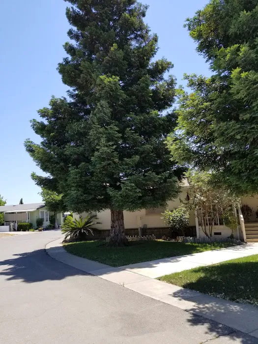 Country Fair Estates Picture 5