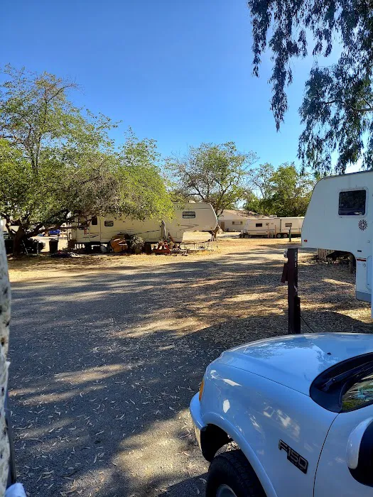Campers Inn RV Park Picture 5
