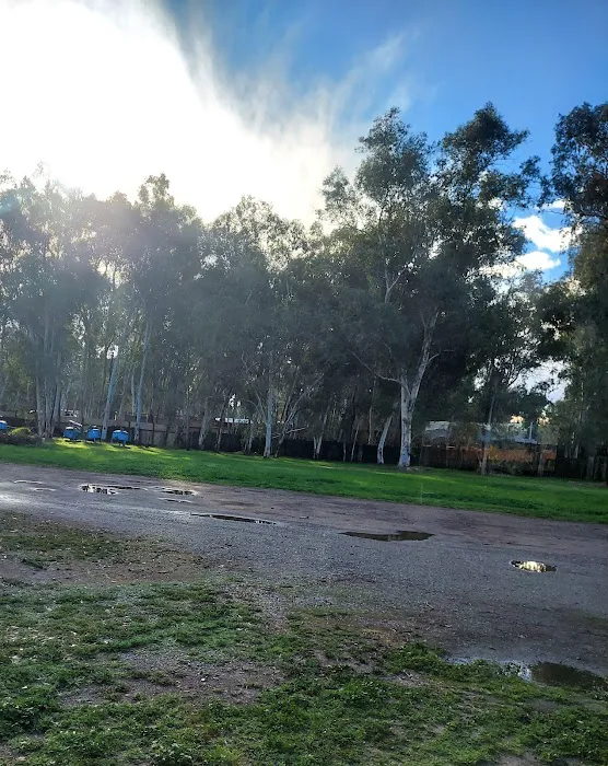 Campers Inn RV Park Picture 4