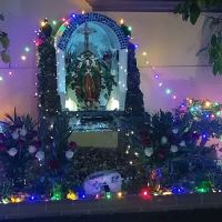 Royal Palm Mobile Estates ico