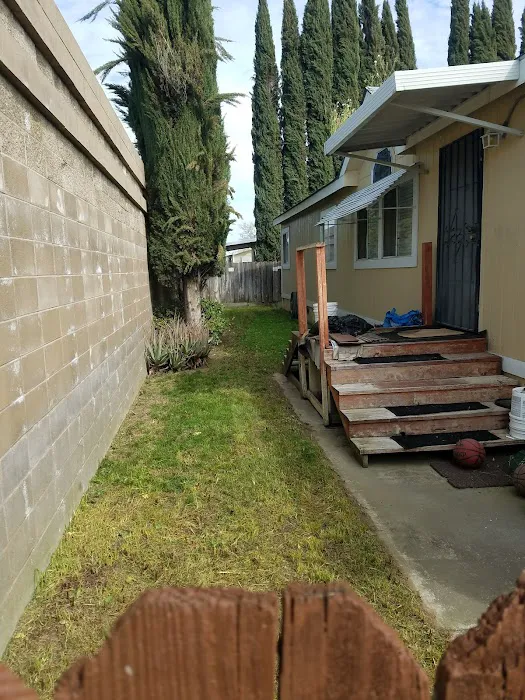 Royal Palm Mobile Estates Picture 6