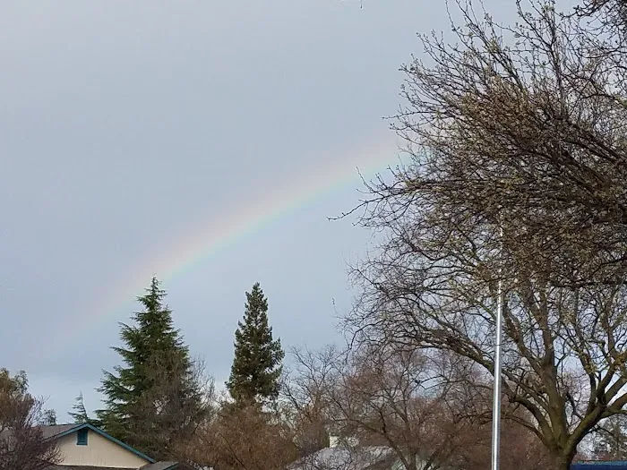 Royal Palm Mobile Estates Picture 4