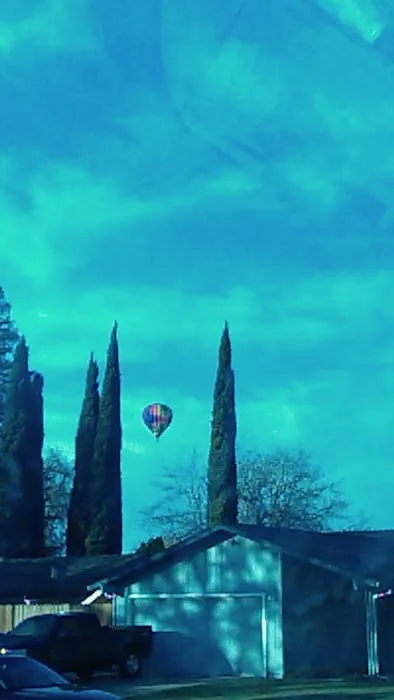 Royal Palm Mobile Estates Picture 10