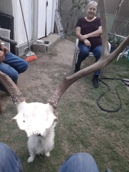 Royal Palm Mobile Estates Picture 9