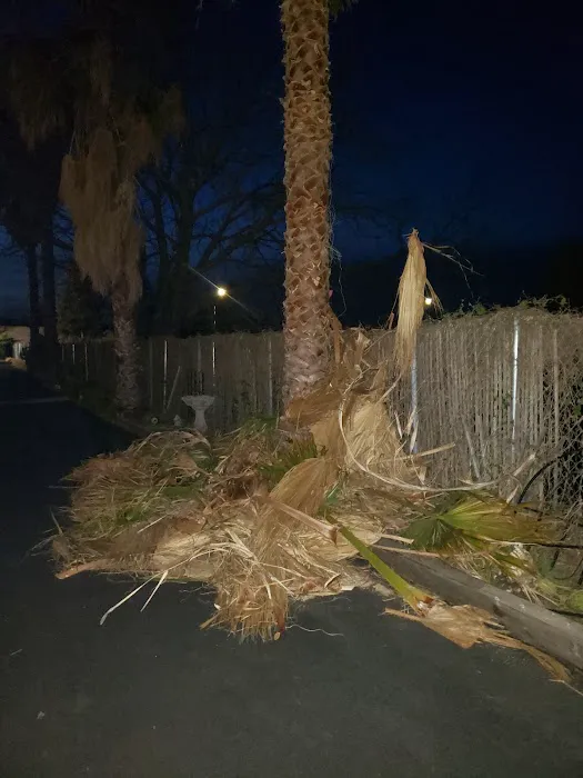 Royal Palm Mobile Estates Picture 7