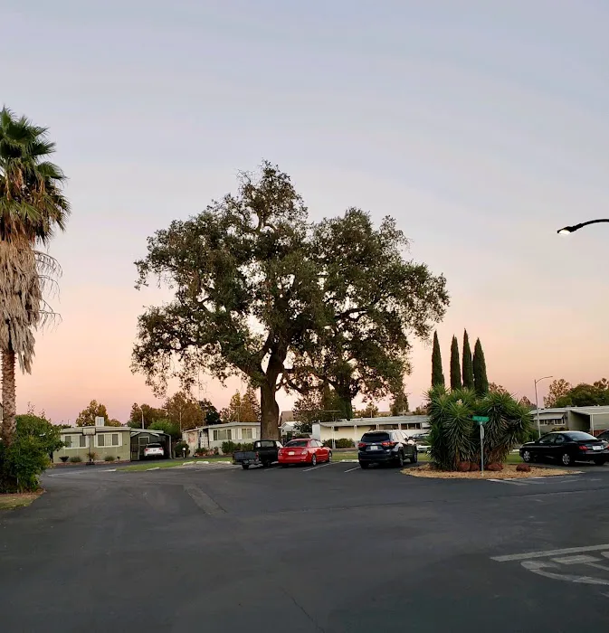 Idle Wheel Estates Picture 9
