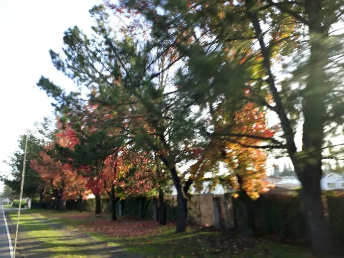 Windsor Mobile Country Club Picture 2