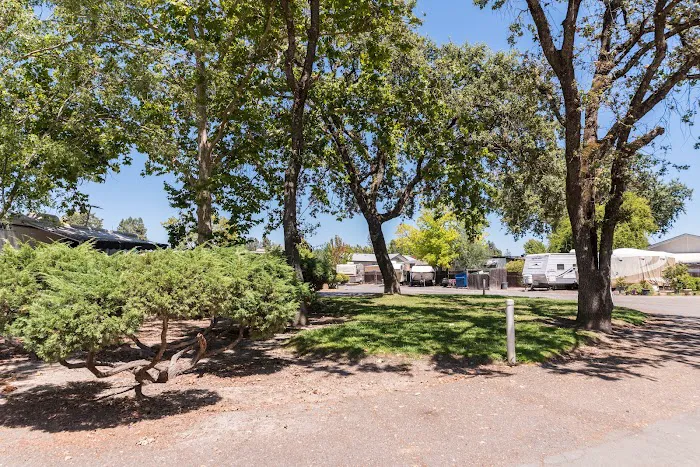 Windsor RV Park Picture 5