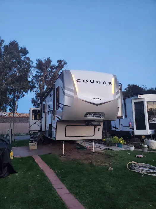 Coastal Dunes RV Park Picture 2