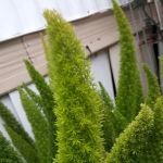 Grover Gardens Mobile Home Park