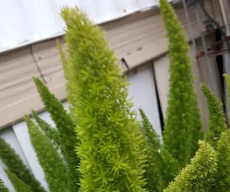 Grover Gardens Mobile Home Park