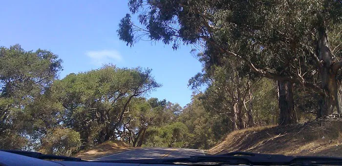 Calif. Grandmothers Club Park Picture 5