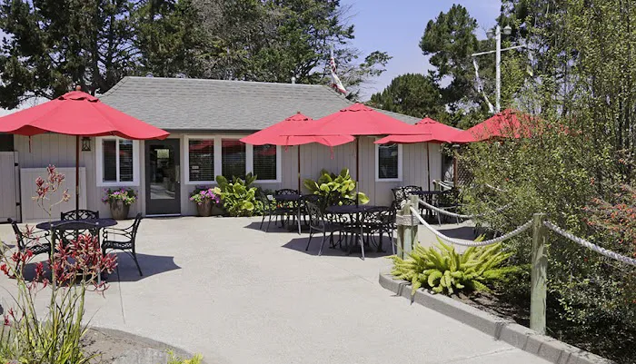 Pismo Sands RV Resort Picture 9