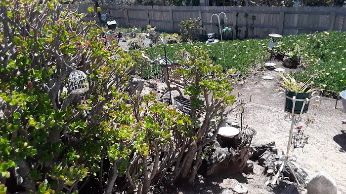 Casa Del Rey Mobile Park Picture 8