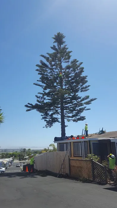 Casa Del Rey Mobile Park Picture 7