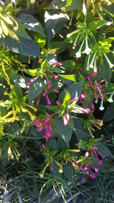 Ken-Mar Gardens Mobile Home Park Picture 10