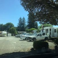 Rose-Villa Trailer Park ico