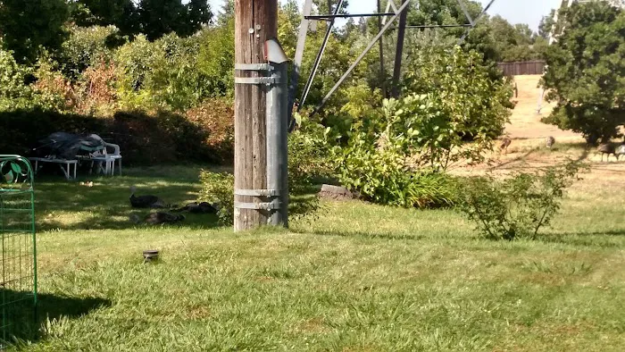 Diamond K Estates Picture 6