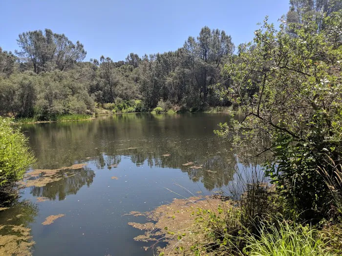 Sierra Lakes Mobile Home Park Picture 10